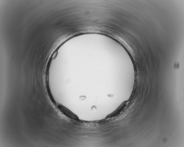 X0000097920901200804111137