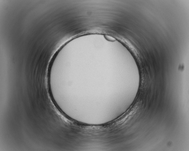 X0000097920902200804111137