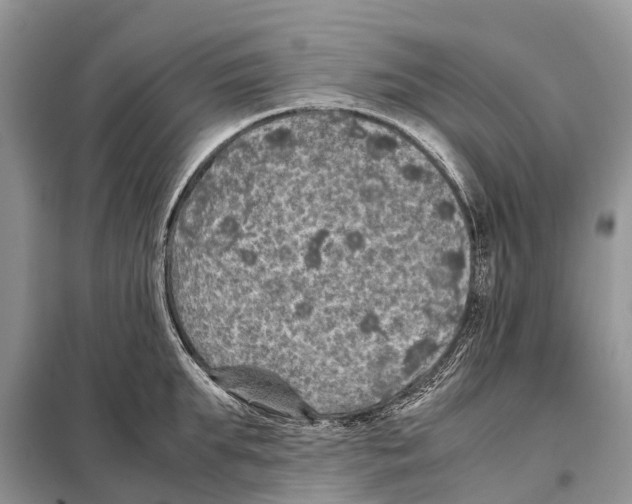 X0000097920903200804111137