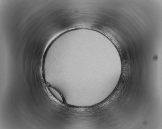 X0000097920904200804111137