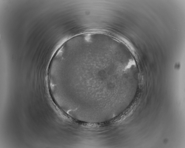 X0000097920907200804111137