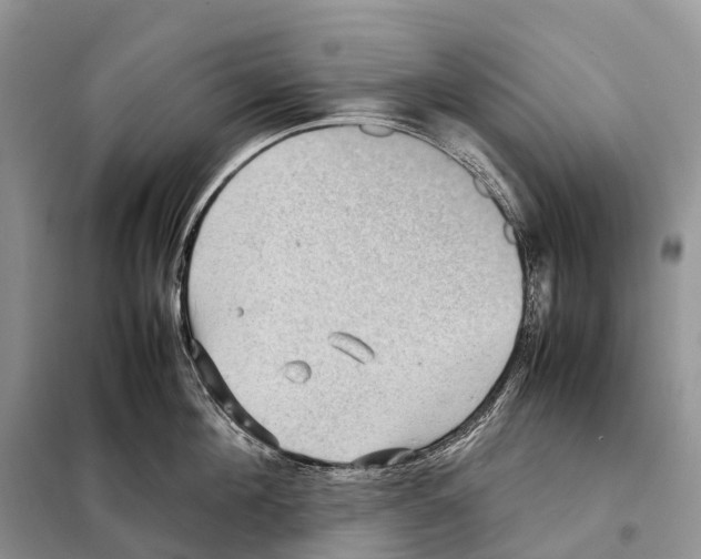 X0000097920908200804111137