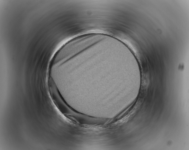 X0000097920910200804111137