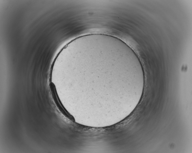 X0000097920912200804111136