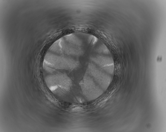 X0000097920913200804111135