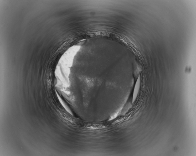 X0000097920915200804111135