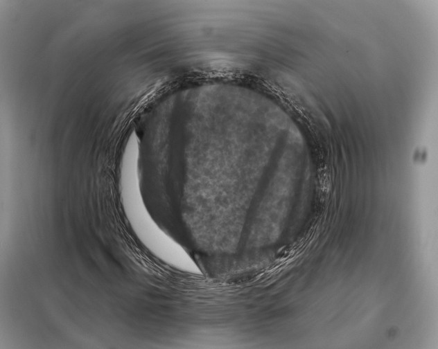 X0000097920916200804111136