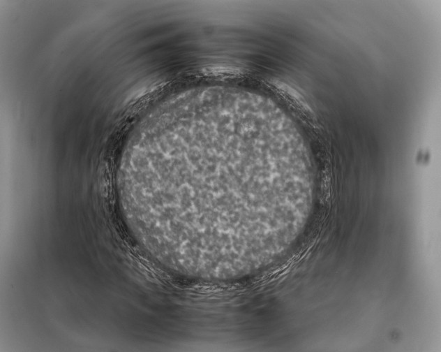 X0000097920917200804111136