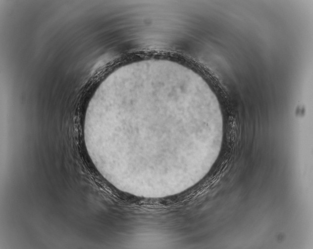 X0000097920918200804111136