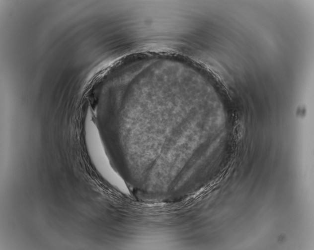 X0000097920920200804111136