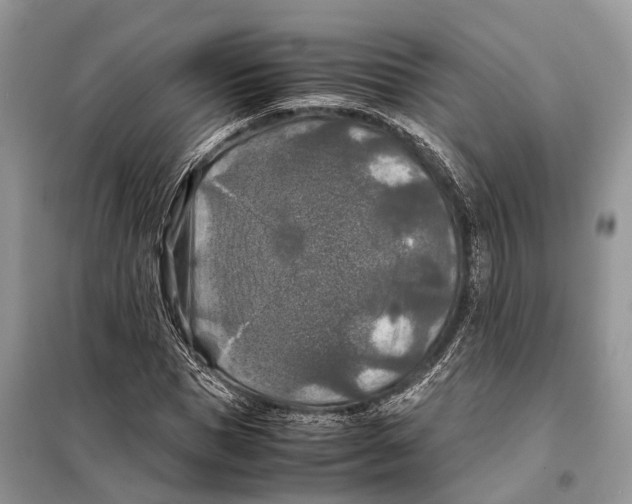 X0000097920921200804111136