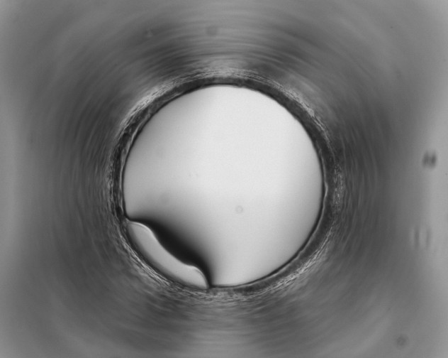 X0000097920922200804111136