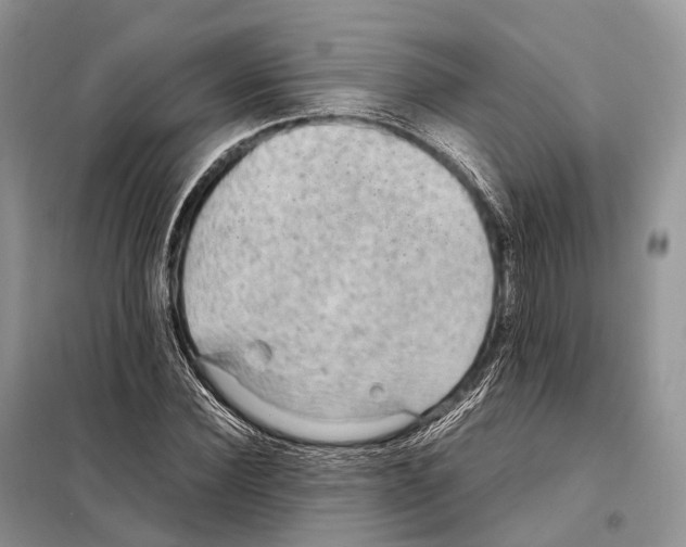 X0000097920924200804111136