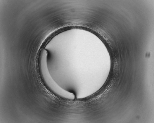 X0000097920926200804111136