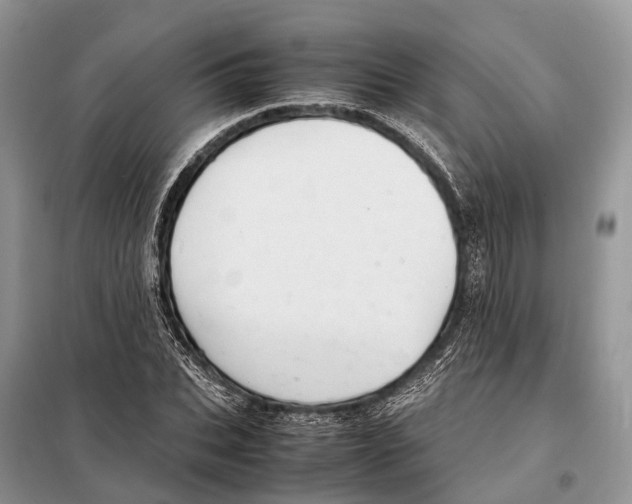 X0000097920927200804111136