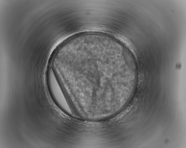 X0000097920928200804111136