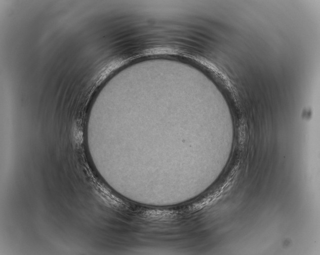 X0000097920929200804111136