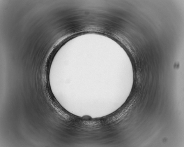 X0000097920931200804111136