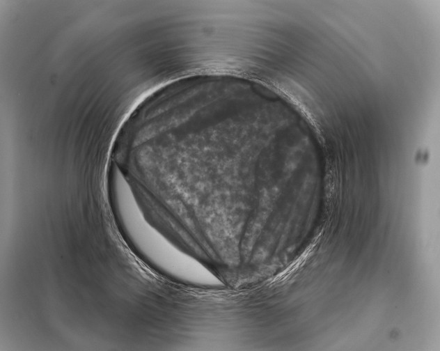 X0000097920932200804111136