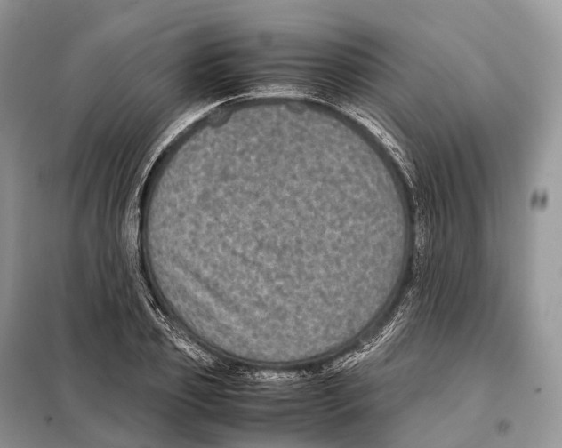 X0000097920933200804111136