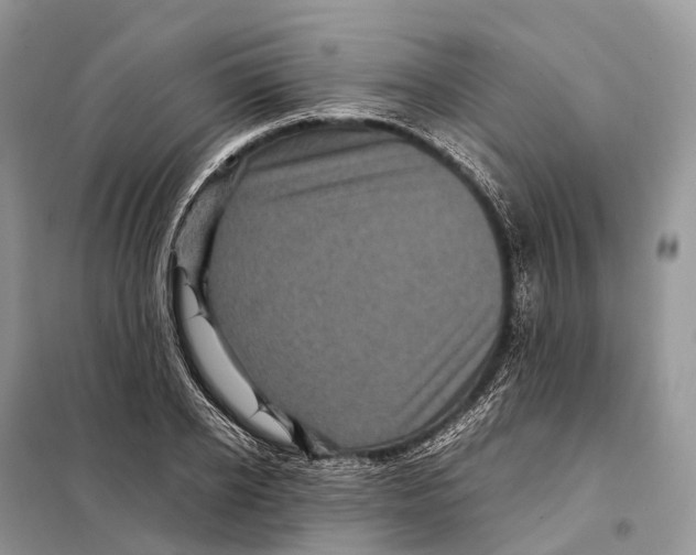 X0000097920934200804111136