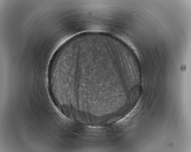 X0000097920935200804111136