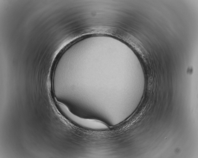 X0000097920936200804111136