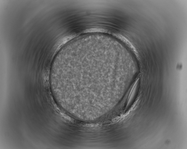 X0000097920937200804111136