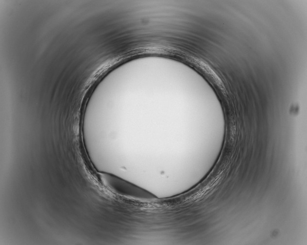 X0000097920938200804111136