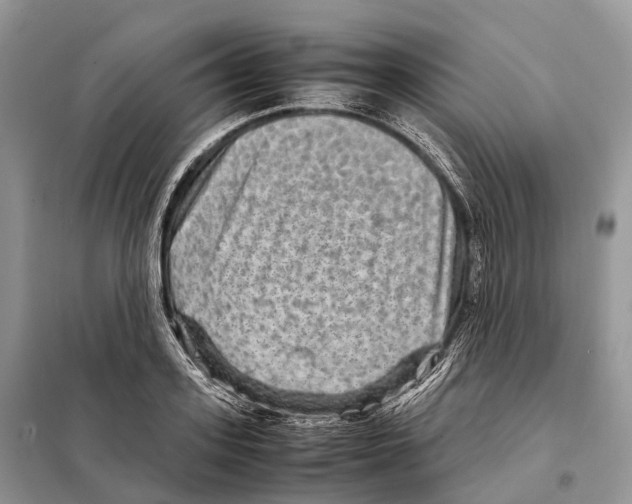 X0000097920939200804111136