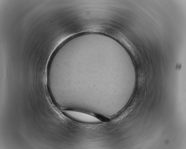 X0000097920940200804111136