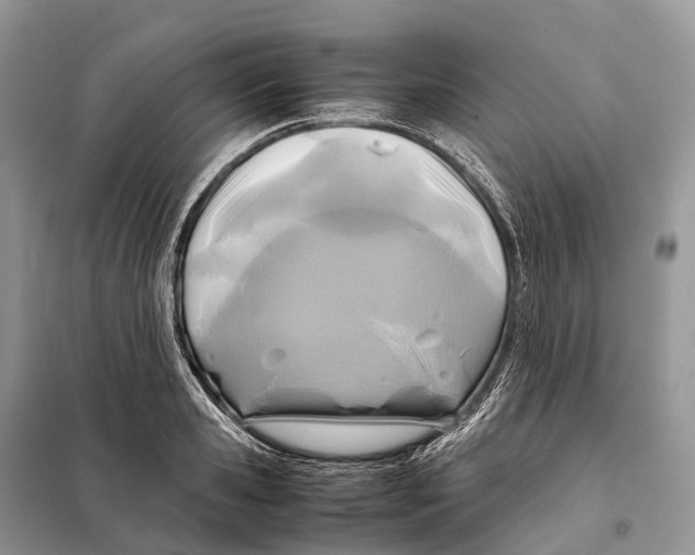 X0000097920941200804111136