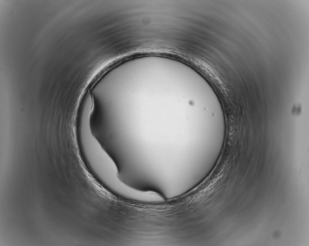 X0000097920942200804111136