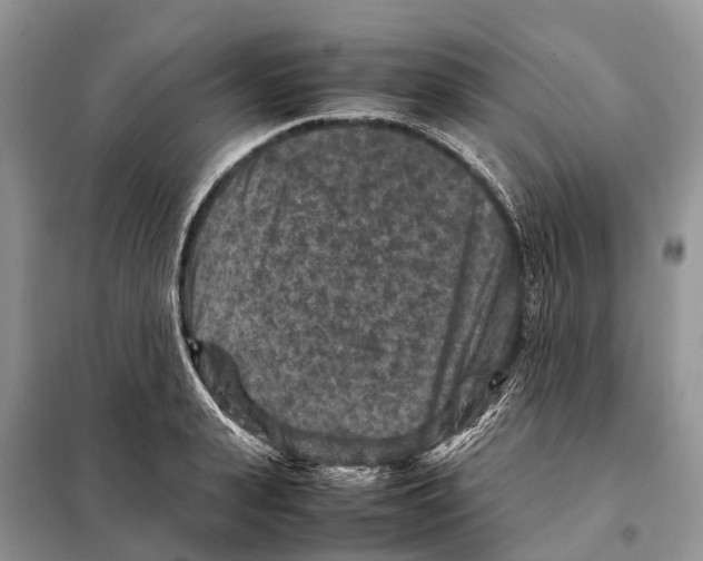 X0000097920943200804111136