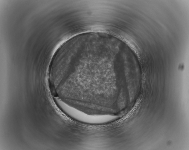 X0000097920944200804111136