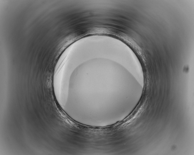 X0000097920945200804111136