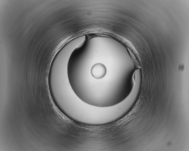 X0000097920946200804111136