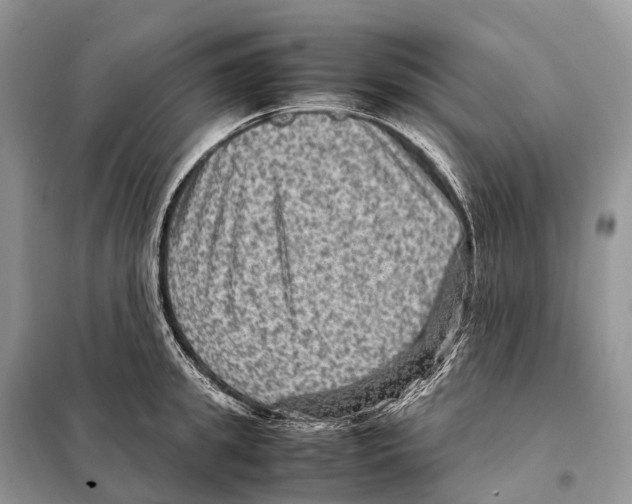 X0000097920949200804111136