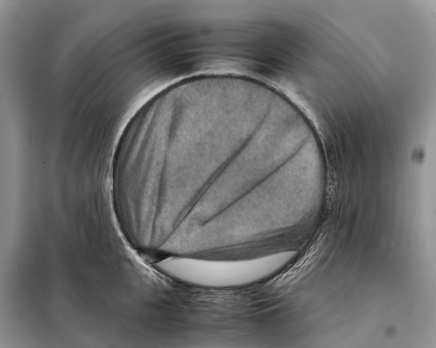 X0000097920951200804111136