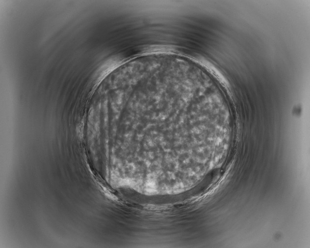 X0000097920953200804111136