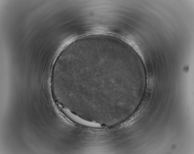 X0000097920954200804111136