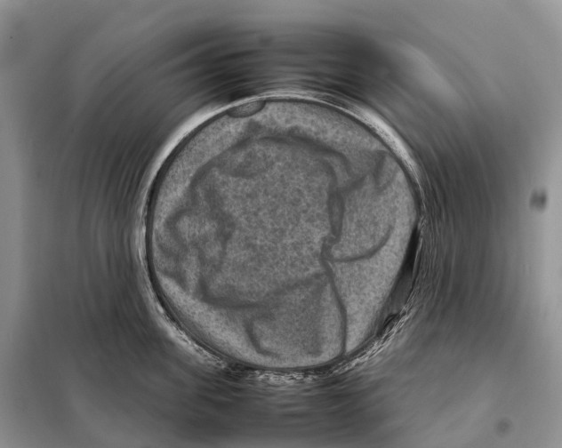 X0000097920955200804111136