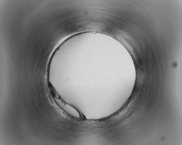 X0000097920956200804111136