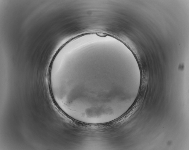 X0000097920958200804111136