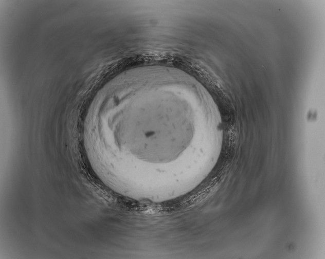 X0000097920961200804111135