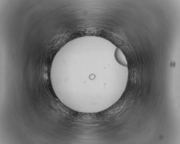 X0000097920962200804111135