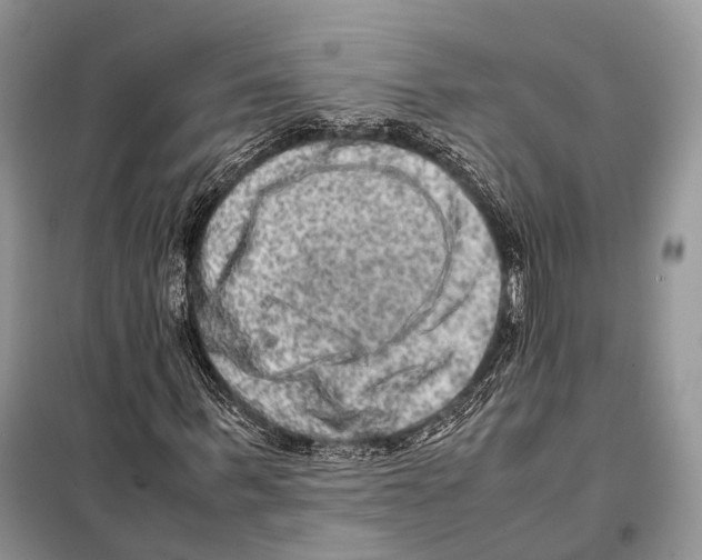 X0000097920963200804111135