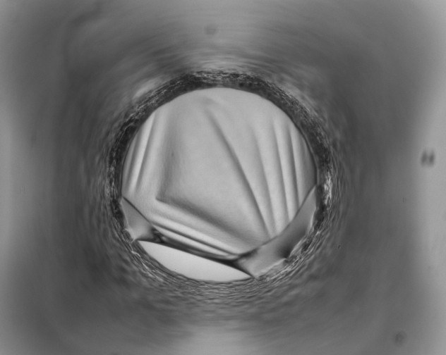 X0000097920965200804111135