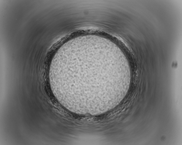 X0000097920967200804111135