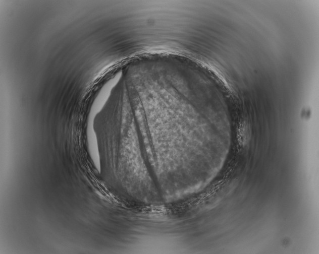 X0000097920968200804111135